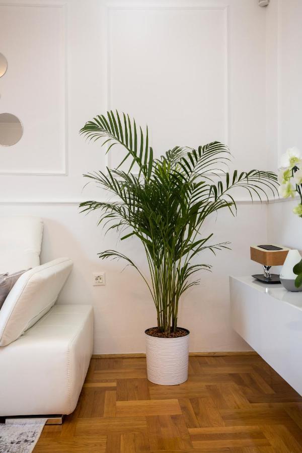 Apartment Parentium 포레치 외부 사진